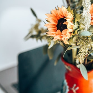 Flower Farm Photography Print