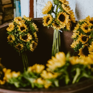 Coastal Ridge T-Shirt Collection